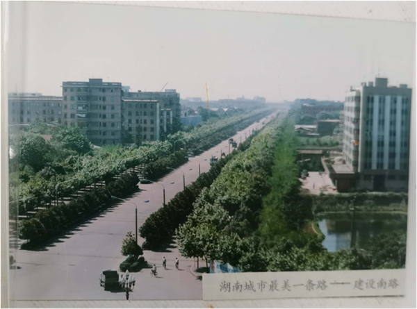 1982年修建的建设南路，曾被评为“湖南城市最美一条路”.png